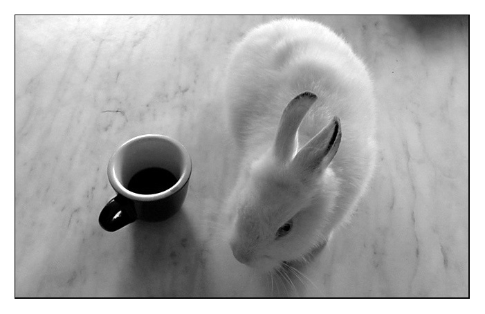 Composizione surreale