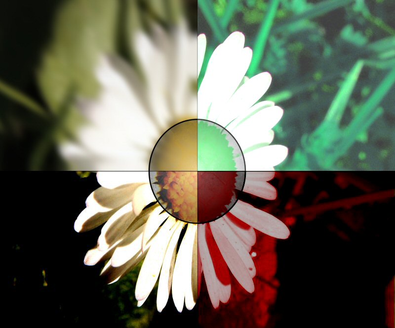 AeF (1) final mod 800