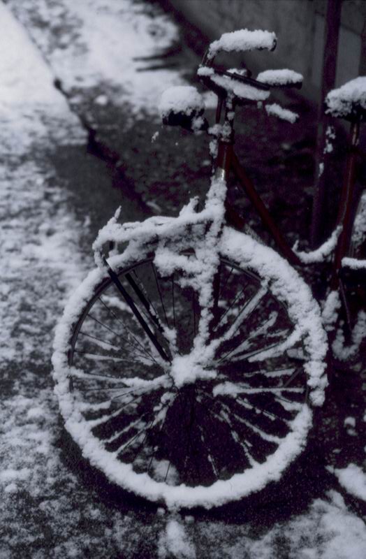 ai ai ai....hai voluto la bici!.............ora pedala