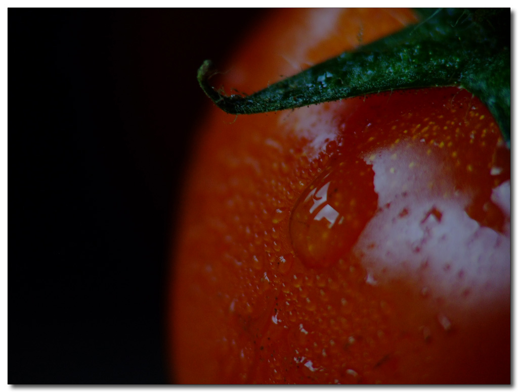 La finestra sul cortile...ehm..sul pachino...!