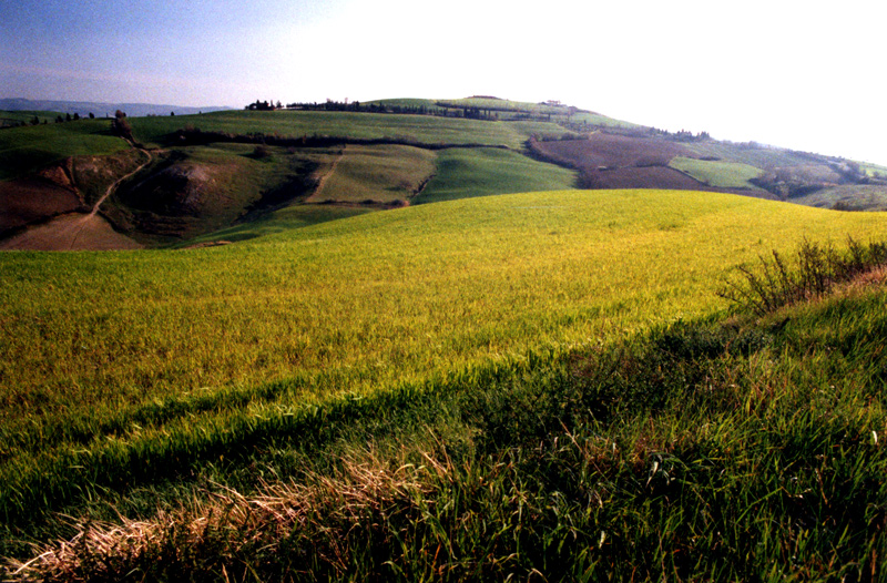 ...Verdi colline...