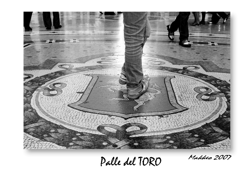 palle del toro