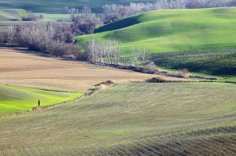 Val D'Orcia 2