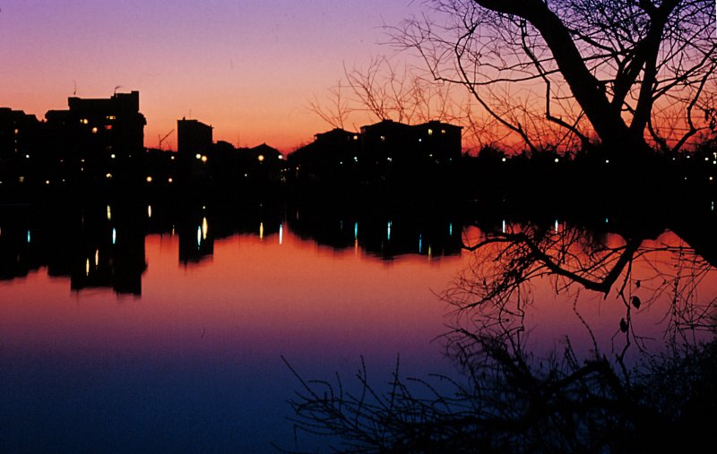 Tramonto al parco delle Cave