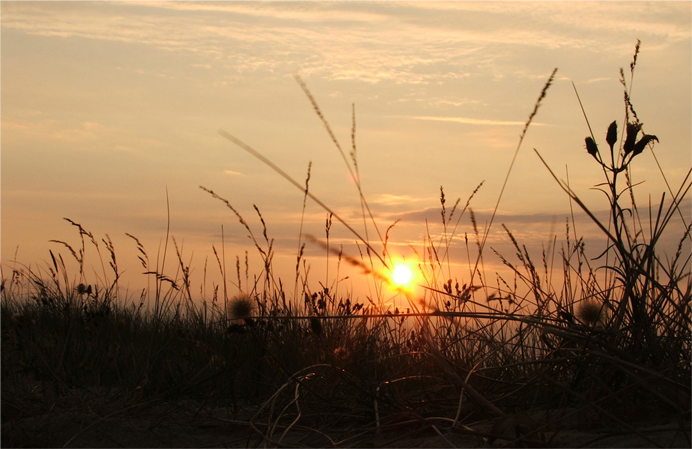 Dune sul Mar Baltico