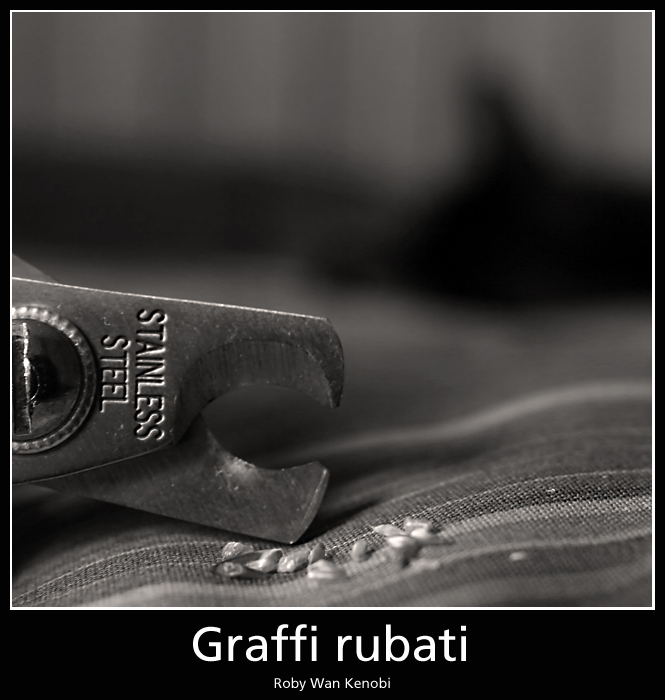 Graffi Rubati