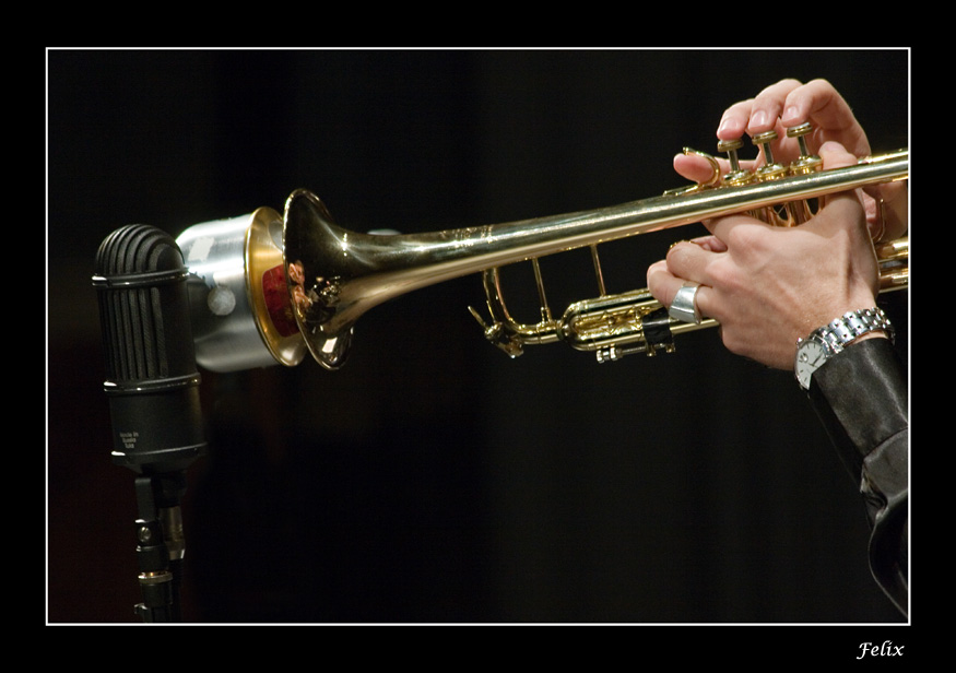 Il riflesso sulla campana