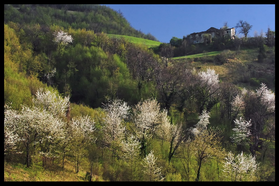 Vita nuova sulle colline