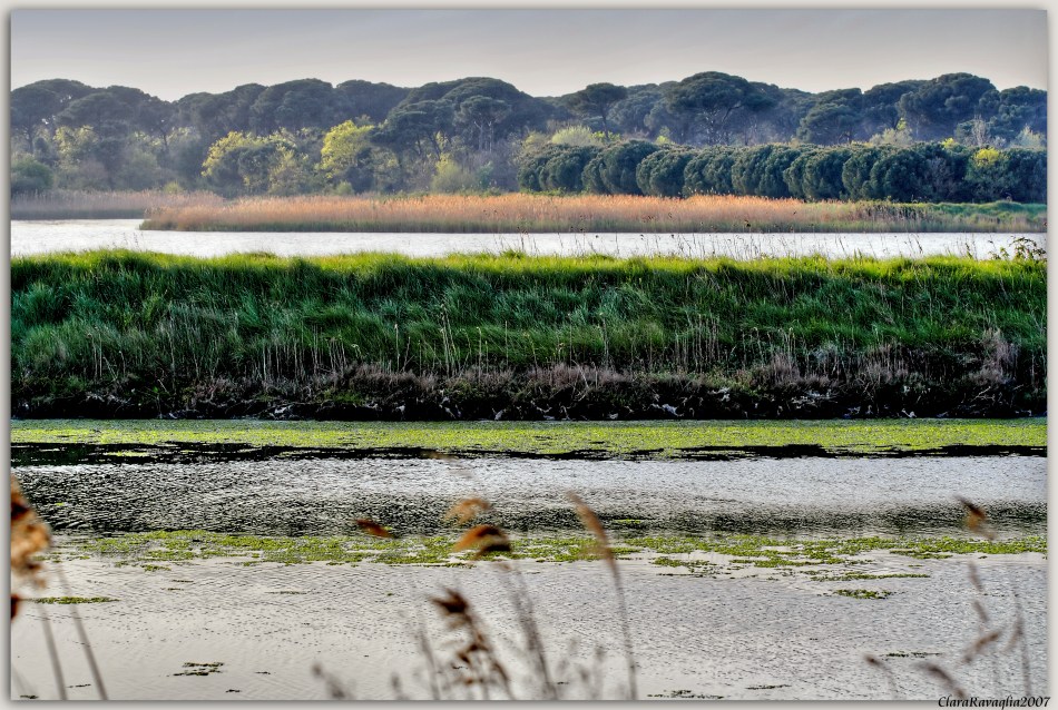 Festa di colori....in valle