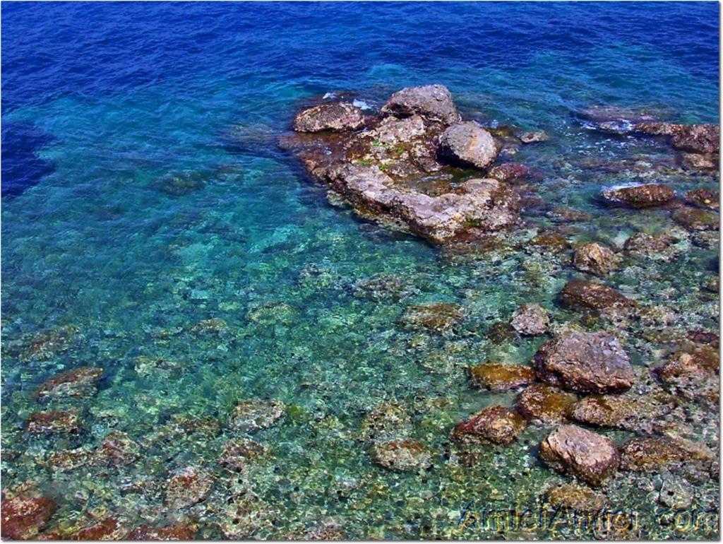 I Colori del Mare #2