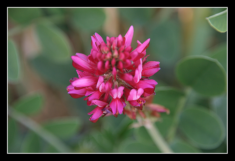 Senza nessuna pretesa 2