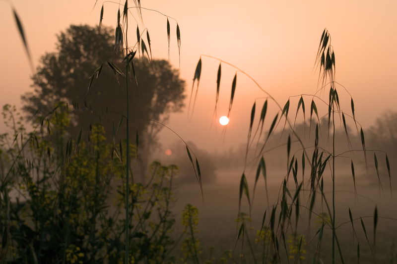 strade di tutti i giorni