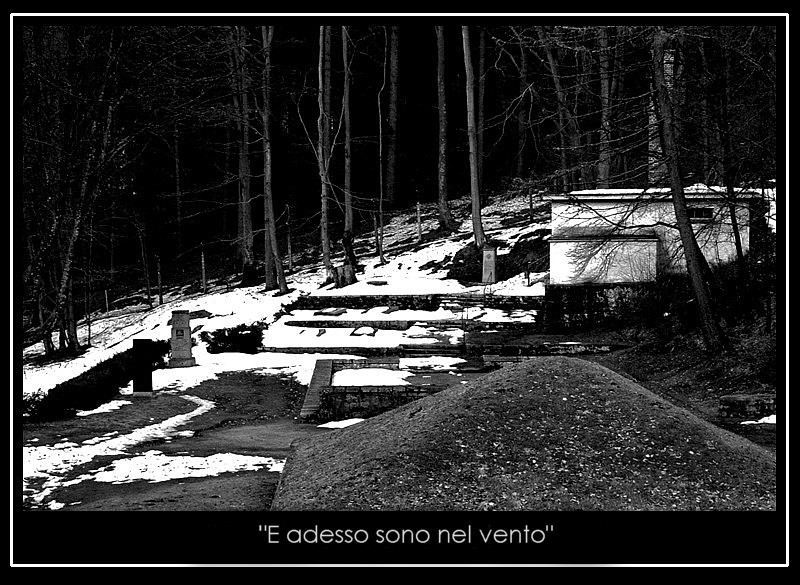 E adesso sono nel vento