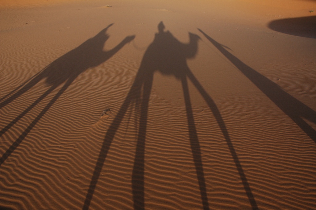 Trampoli...nella sabbia