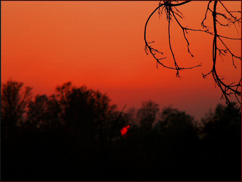 tAS-2 (17) (final)800 bicub