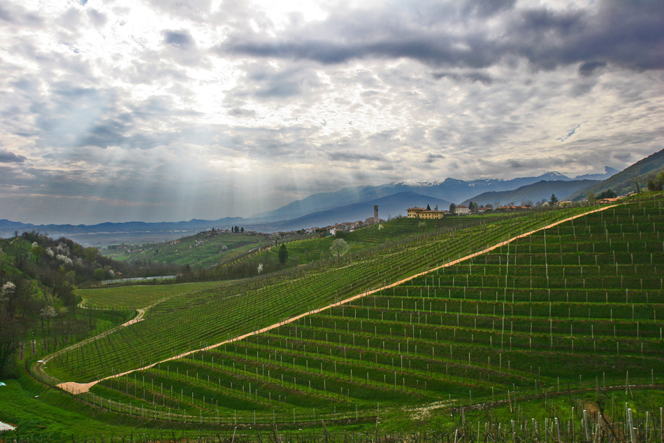 Valdobbiadene - Treviso