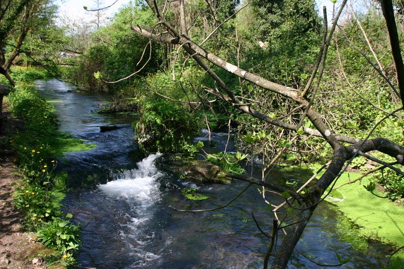 Calcata - Fiume Gelatao - Roma