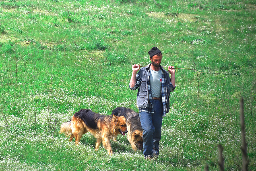 Ritorno dalla Campagna