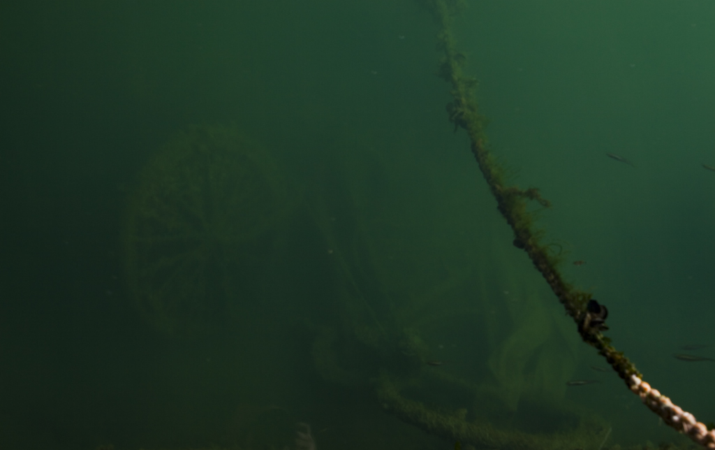bicicletta nel porto