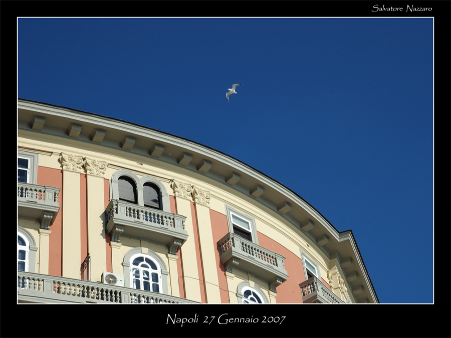 gabbiano in volo a Via Partenope