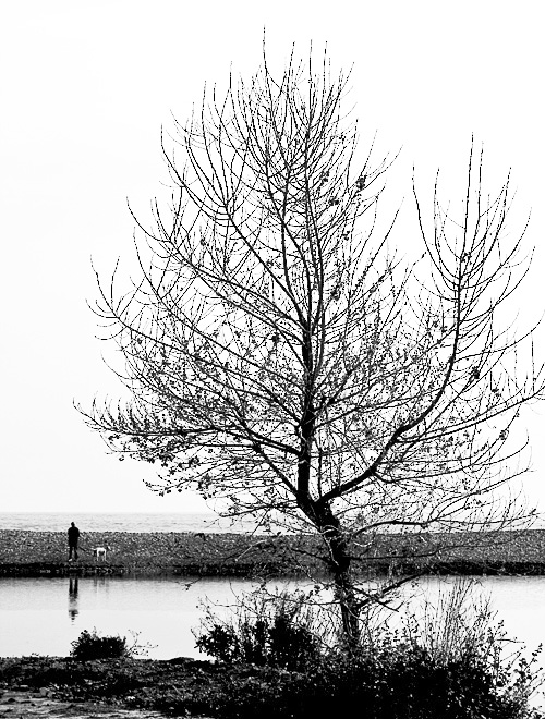 E pur ci sentiamo grandi....