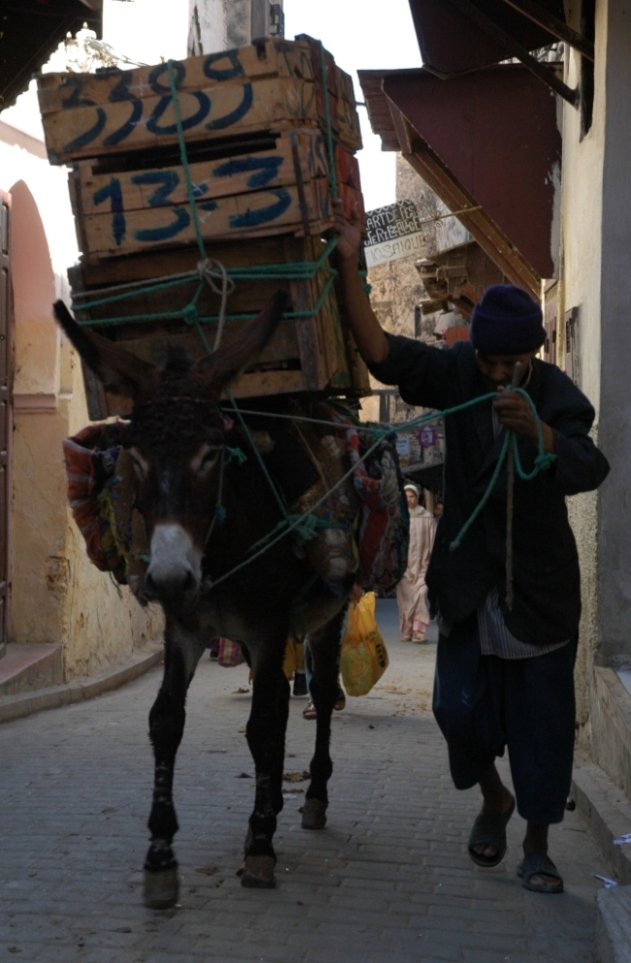 Hard Work...in Fes