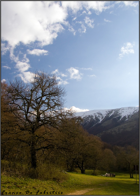 Vista del Bosco di Sant'Antonio - 3