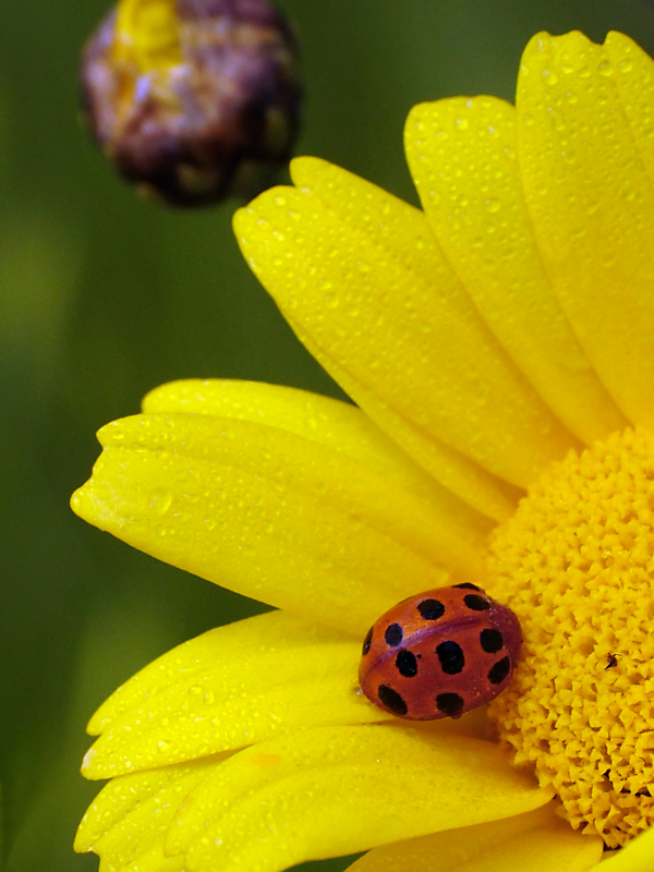 ho fatto tardi ieri notte!