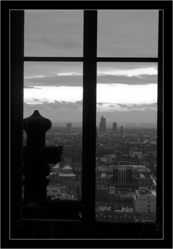 Una finestra su colonia