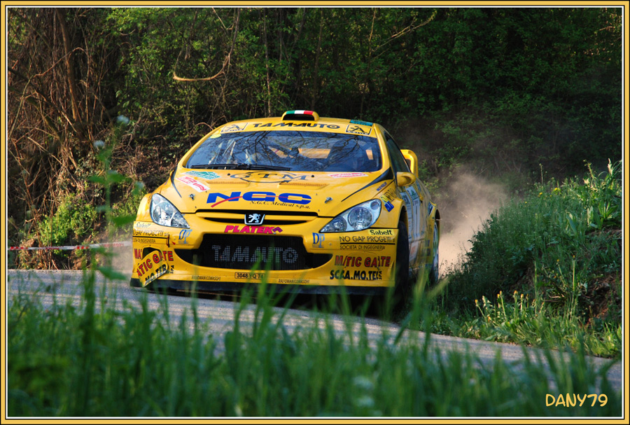 Rally di Alba 2007