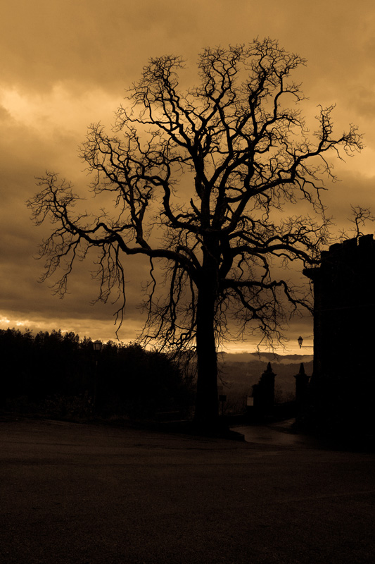 il signore delle tenebre