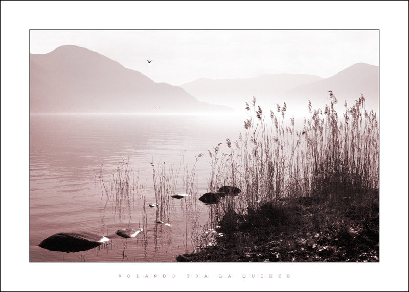 volando tra la quiete