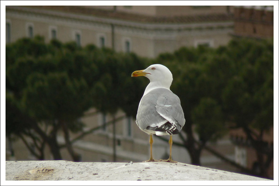 ... ma il mare dov'�? ...