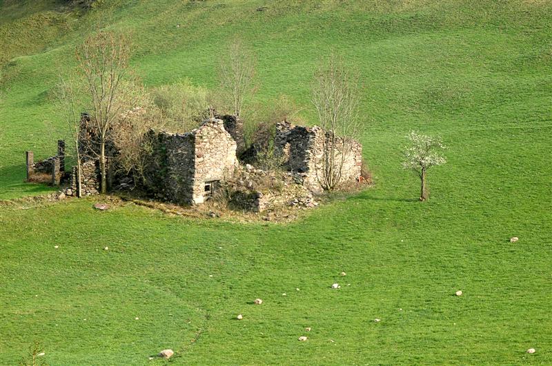 natura vs cascina abbandonata