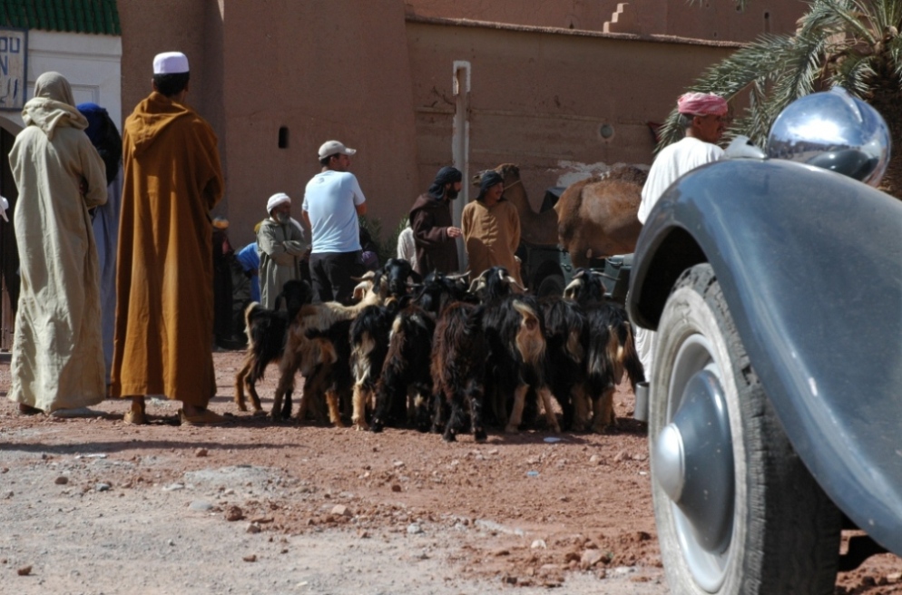 Traffic Jam: men, animals and car in queue