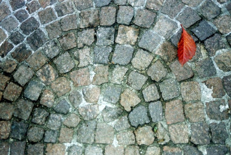 � arrivato l'autunno... ancora una volta