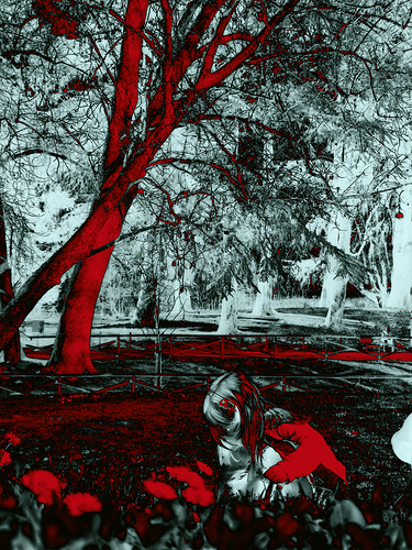 "i'm lost in a forest all alone! (part one)"