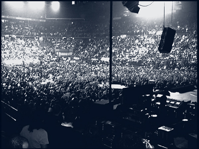 "let me see you stripped down to the bone"