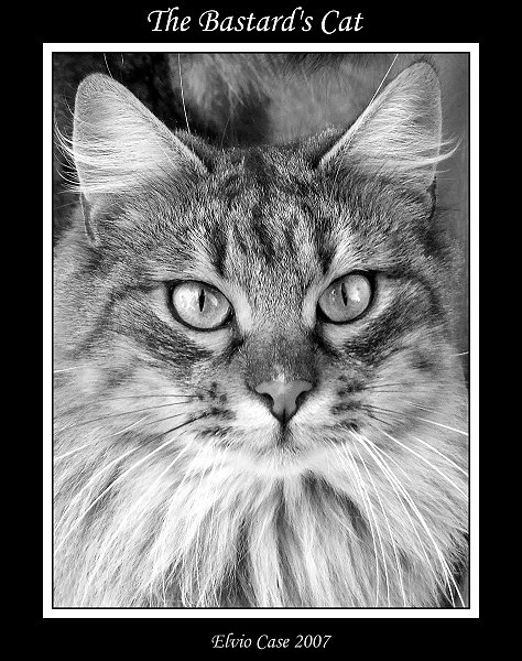 Black&White