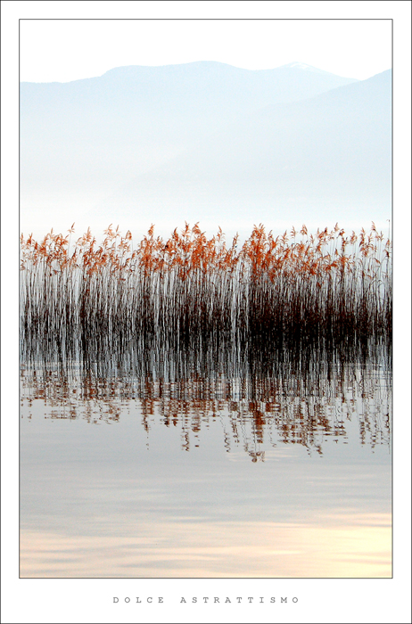 dolce astrattismo