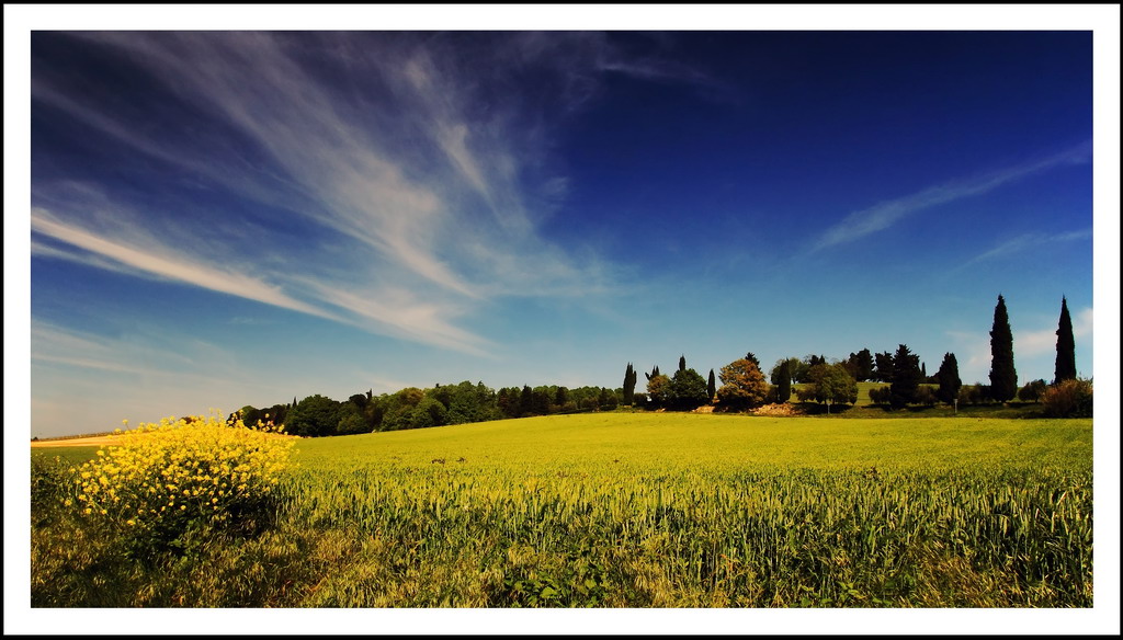 Primavera a Capocolle