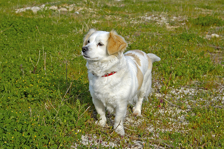 lola quando � fiera!!!!