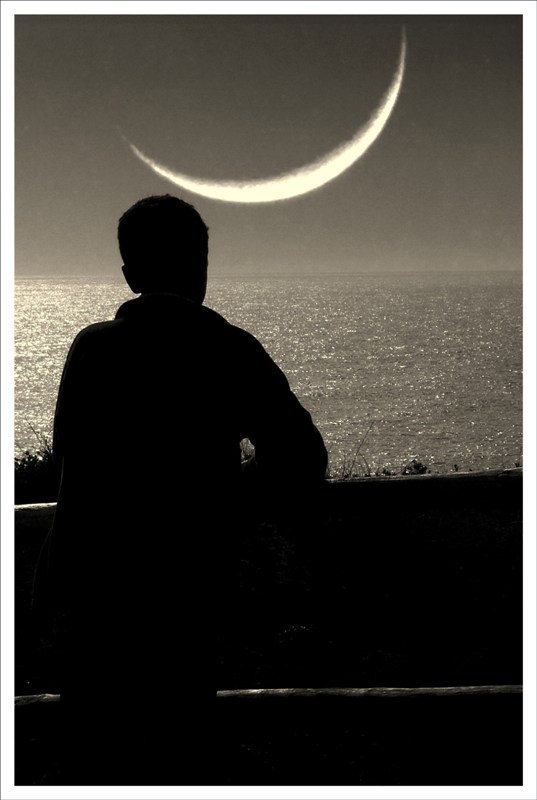 Quel lunatico di mio figlio...