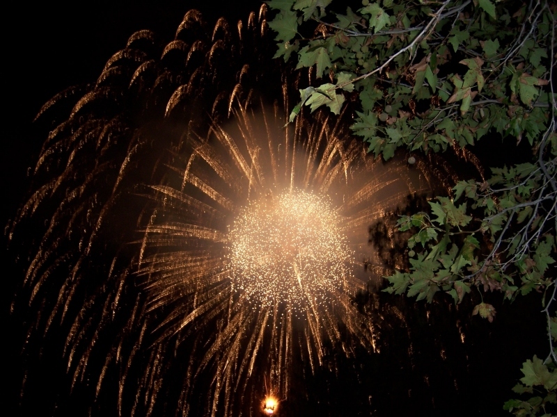 Benestare - festa della Madonna del Rosario