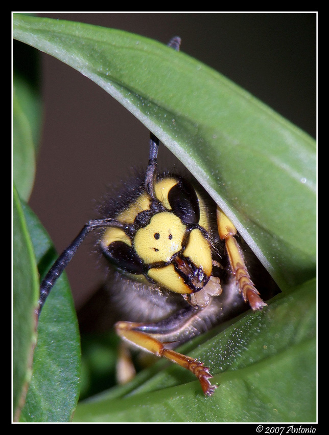 Affacciata alla finestra!!!