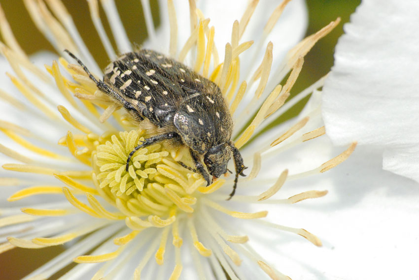 tutto mio tutto mio!!!