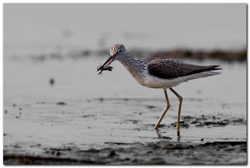 Luce brutta, occasione ghiotta 2