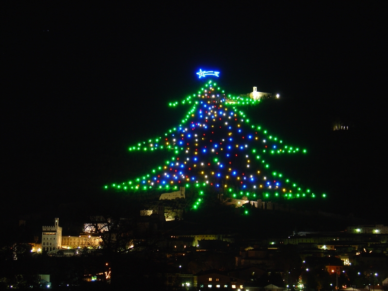 l'albero di natale pi� grande