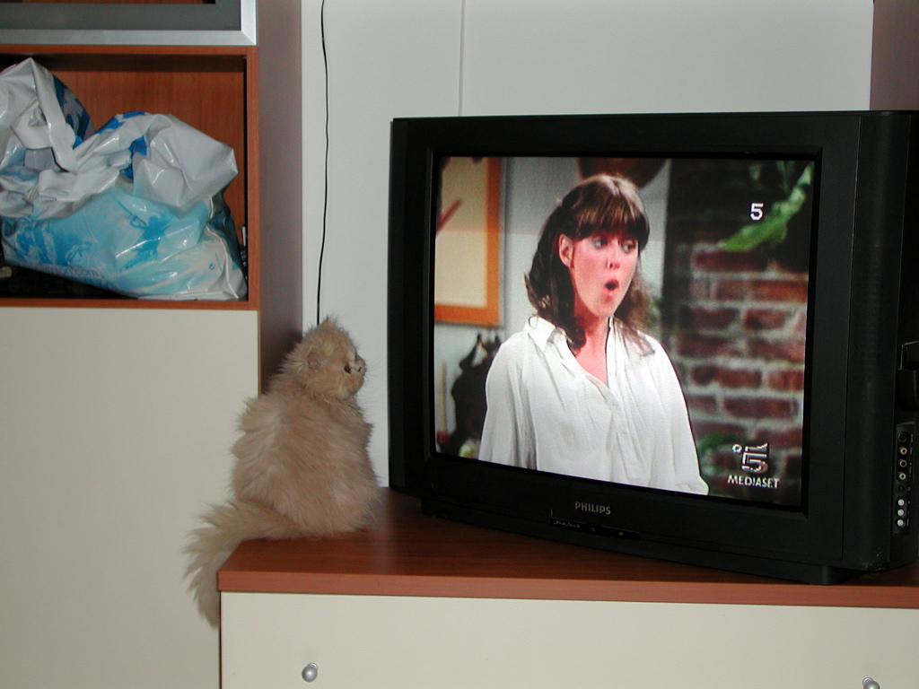 Ciao Mindy, dov'� Mork?