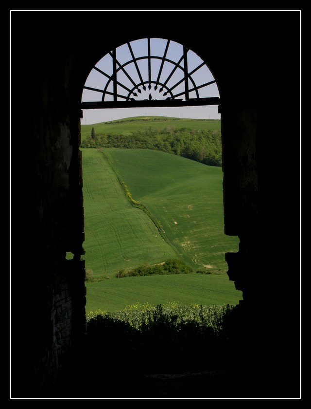 Cartolina dalla stalla